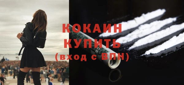 шишки Богородск