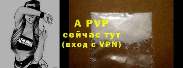 ГАЛЛЮЦИНОГЕННЫЕ ГРИБЫ Нея