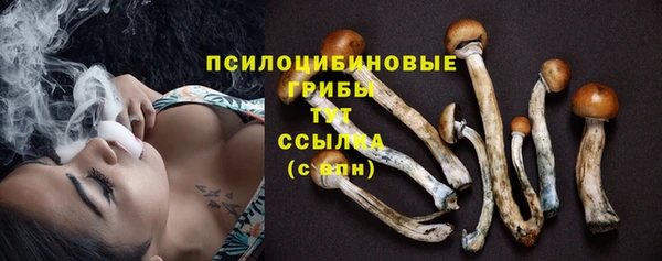 бошки Нефтекумск