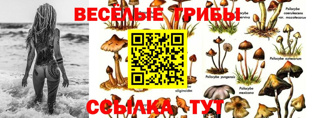 Галлюциногенные грибы ЛСД Котовск