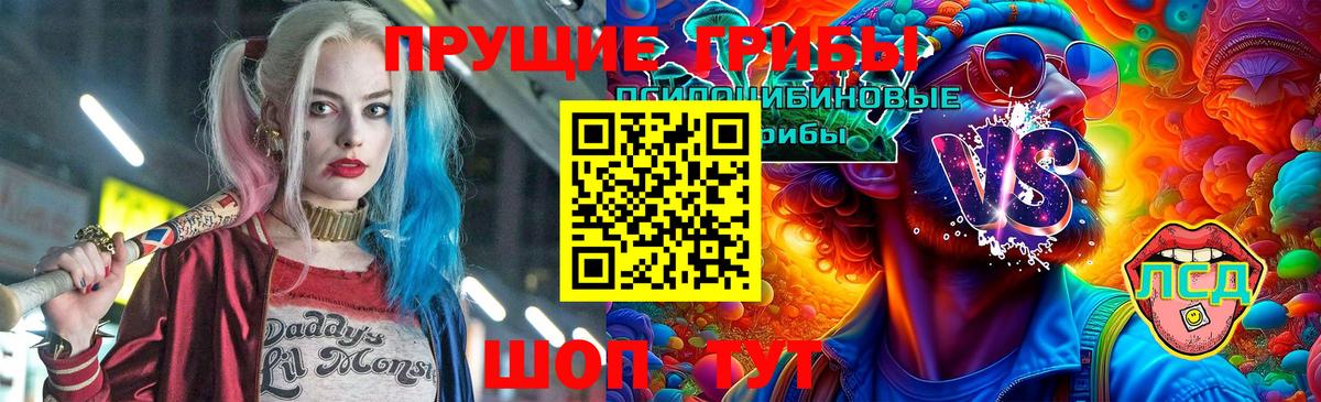 Псилоцибиновые грибы ЛСД Котовск